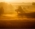 Landschaft