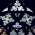 The most beautiful Concert Highlights from Maulbronn Monastery 1998-2018 The most beautiful Concert Highlights from Maulbronn Monastery 1998-2018
